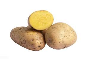 土豆怎么养殖(「科普」马铃薯种植技术分享)