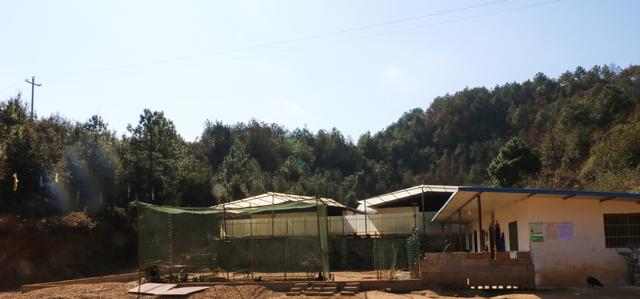 老照片：贵州威宁县小海镇合益种养殖专业合作社林下养殖黑羽乌鸡