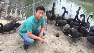 上海珍禽养殖场(全国动物园里的珍禽是野外抓来的吗？NO，不少都是崇明这个“鸟爸”养的)
