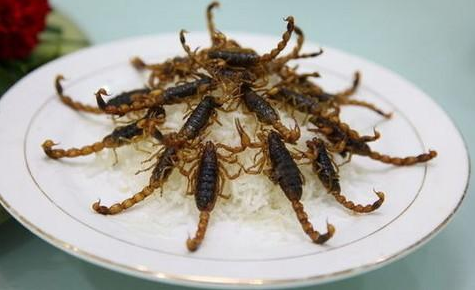 奇食之旅：山东临沂“十足全蝎”脚比一般蝎子多，吃起来像虾子