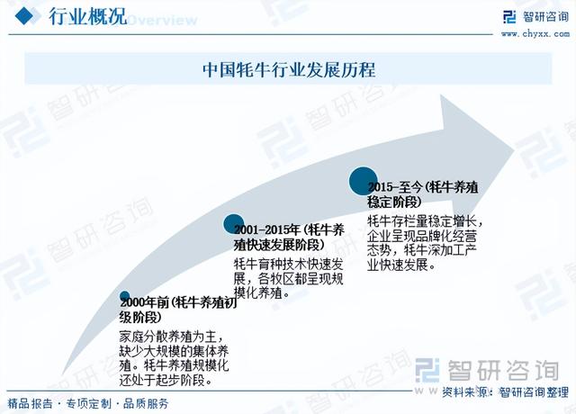 一文浅析2023年中国牦牛养殖现状、优势养殖区域及未来发展前景