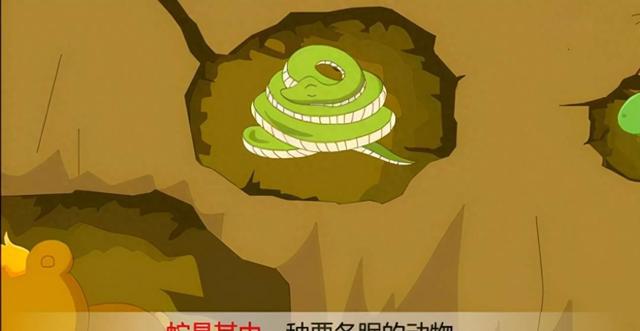冬眠中的蛇有多脆弱？大王蛇竟被老鼠当辣条啃食！