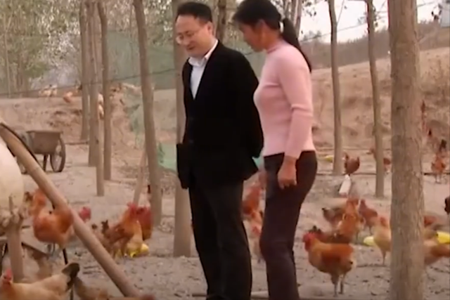 上海大老板放弃百万生意，竟回乡种田养鸡，一个月竟狂赚100万