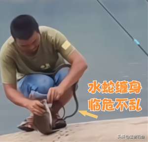 水蛇养殖视频(江苏男子垂钓时遭水蛇缠身，稳坐钓鱼台扬竿遛鱼，网友：开眼界了)