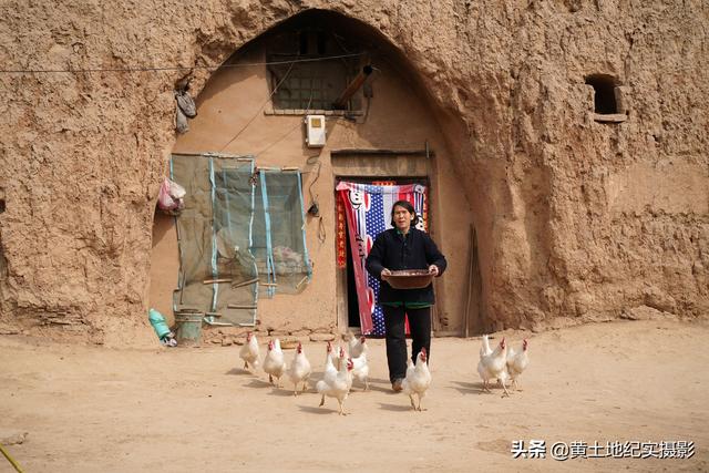 山西农村7旬老人家养“雪鸡”产蛋供不应求，想买要电话排队订购