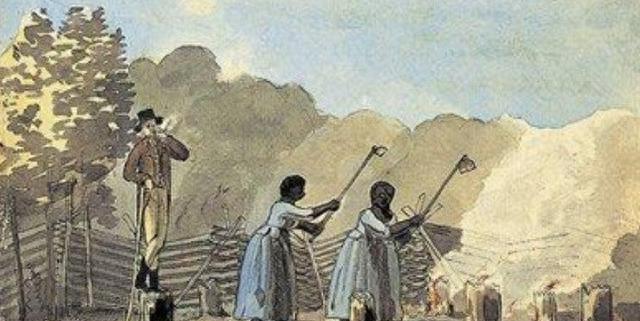 黑奴的棉花种植园生活大揭秘：摘棉花、吃猪肉、啃西瓜和挨鞭子