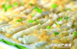 沙虫养殖图片(广西北海海滩大量沙虫喷鲜血莫名暴毙)