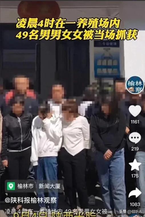 凌晨4点，陕西某养殖场49名男男女女被当场抓获