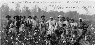 黑奴的棉花种植园生活大揭秘：摘棉花、吃猪肉、啃西瓜和挨鞭子