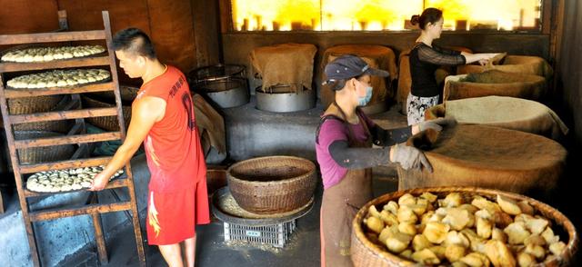 江西鄱阳：村级集体经济助力乡村振兴渔民就业