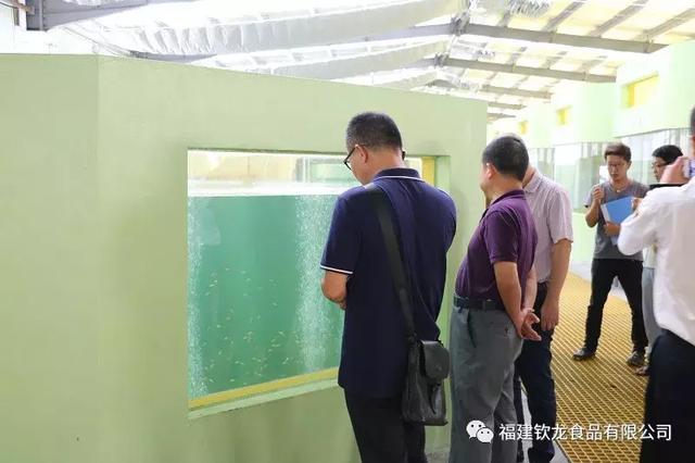 钦龙公司召开循环水系统优化和珍珠龙胆石斑鱼苗种繁育验收会