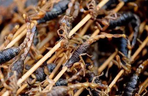 油炸蜘蛛蝎子凉拌蚂蚁，在什么都吃的云南人面前瑟瑟发抖