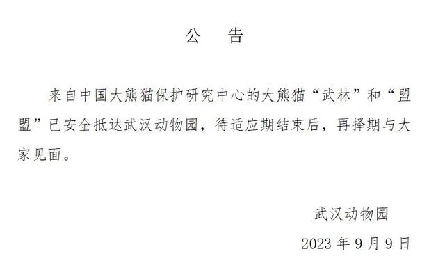 一对雄雌大熊猫来武汉，名叫“武林”、“盟盟”，今年4岁
