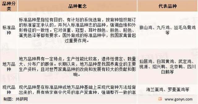 2022年中国家禽养殖行业分类、产业链、存栏量、出栏量及市场规模