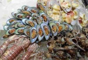人工养殖海虾(“人工养殖的虾”和“野生虾”有什么区别？教你如何快速区分)