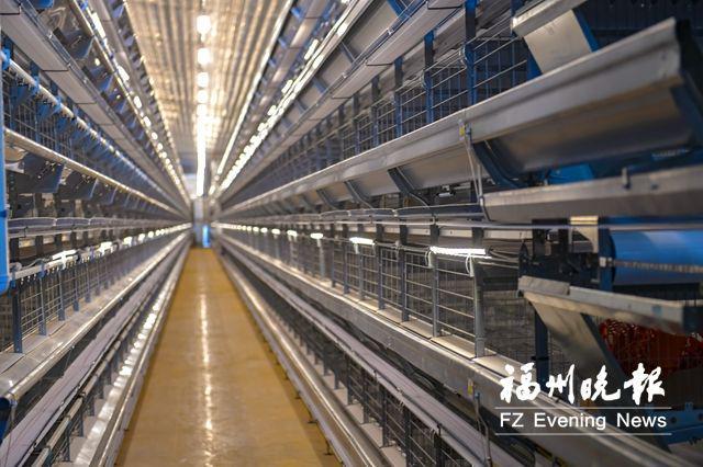 永泰打造全球最大蛋鸭养殖综合体 工程一期明日投产