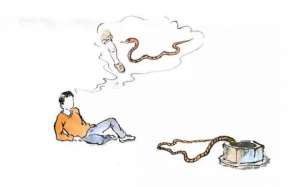 养殖蛇培训(玩眼镜蛇为何印度人热衷于此，又为何眼镜蛇那么听话不咬人？)