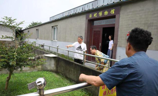 世界第一蛇村在浙江，村民与300万条蛇生存40年，全村靠蛇来赚钱