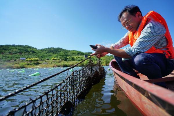 河北卢龙：“北珠”蚌养殖 带富一方人