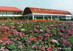 北京农之春珍禽养殖场(北京锦绣大地，著名景点 室内高尔夫、珍禽养殖场、农业演示厅)