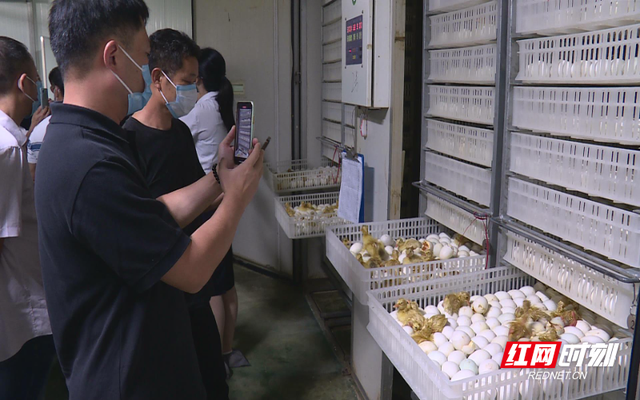 郴州市肉鸭养殖技术培训班在临武举办