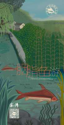 胭脂鱼养殖(“神奇”的动物在上海｜“穿游亿万年”的胭脂鱼)