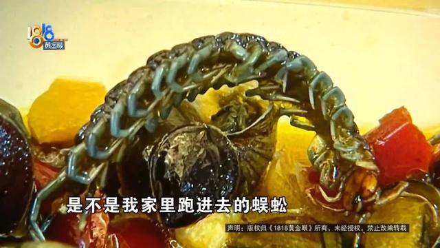 爆炒螺蛳吃出“蓝脚蜈蚣”，带有剧毒那种？记者科学求证