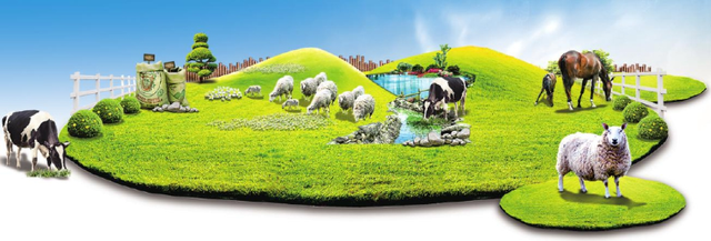 天山南北春羔生产过半 小羊撑起大产业
