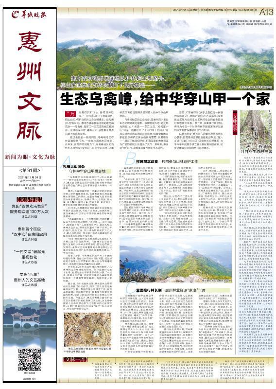 「惠州文脉·聚焦」生态乌禽嶂，给中华穿山甲一个家