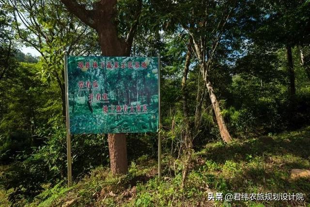 云南三国庄园规划，打造绿色立体生态经济的领头军