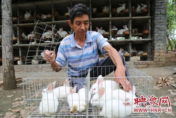 宝丰县：开展獭兔养殖到户增收项目 助力脱贫