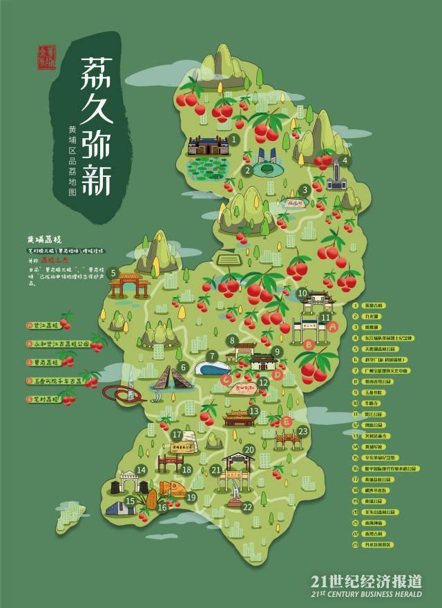 百年“佳荔”献抗疫英雄，广州黄埔发布古荔枝树群图谱