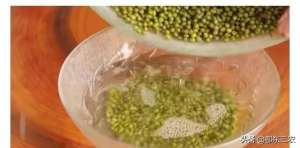 豆芽的种植方法(农村人教你在家里培育绿豆芽，3天就可以食用，方法一听就会)