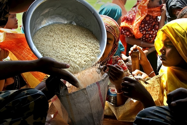 印度大米出口禁令，外网抬头一看：中国小麦库存够中国人吃18个月