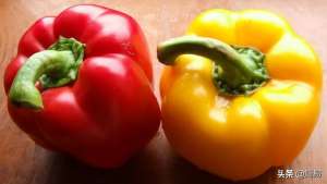 秋季种植蔬菜有哪些(秋天，建议少吃白菜和土豆，多吃5种“冠军菜”，应季美味营养高)
