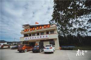 惠州藏香猪养殖场(视频｜一颗龙眼带出一条产业链，龙门县甘坑村富起来了)