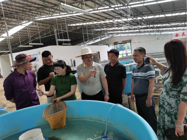 湖北荆州区考察组到扶绥种畜场取澳洲龙虾“养殖经”