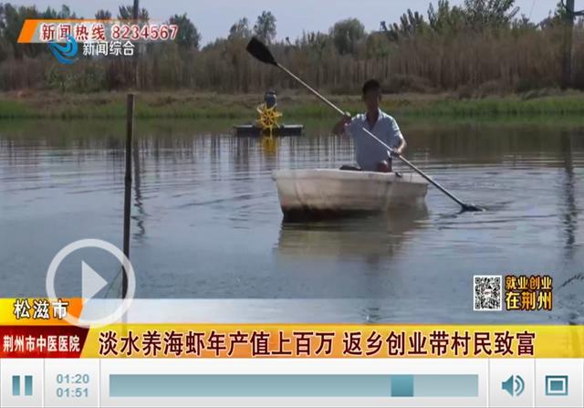 「就业创业在荆州」淡水养海虾年产值上百万 带领村民致富