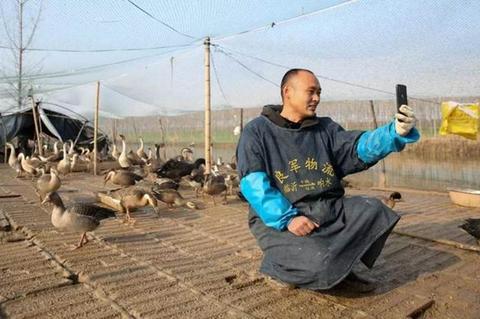 乌龙！请客吃网购大雁被举报背后是一群农民在阿里的致富故事