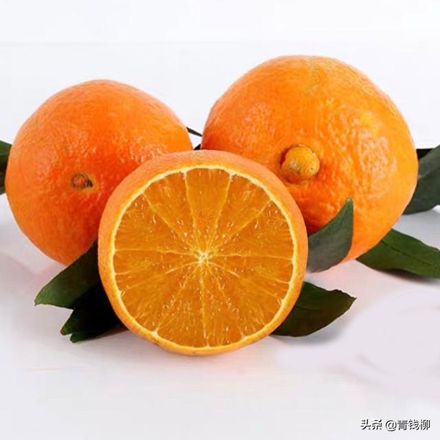 红美人柑橘优质栽培技术