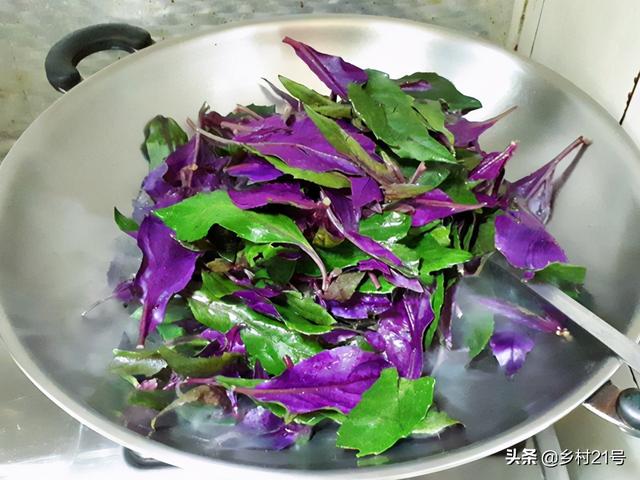 农村一紫一白两种野菜，营养丰富还可止血