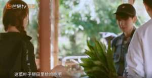 大棚莴苣种植技术视频(【哈哈农夫】王源杨超越开展莴笋论战，莴笋应该吃根还是吃叶？)