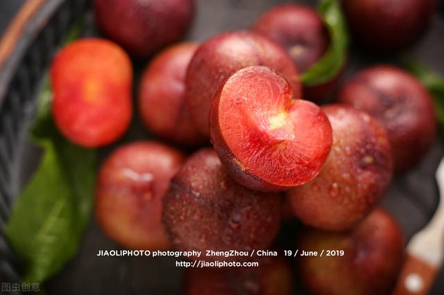 二十一世纪水果娇子—美国杏李植物非试管高效快繁技术