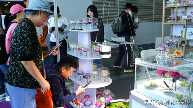 首日签单30多个，睡莲永生花爆红中国国际家庭花卉园艺展