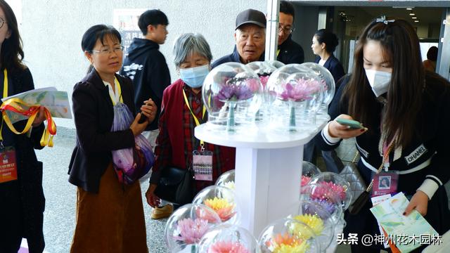 首日签单30多个，睡莲永生花爆红中国国际家庭花卉园艺展