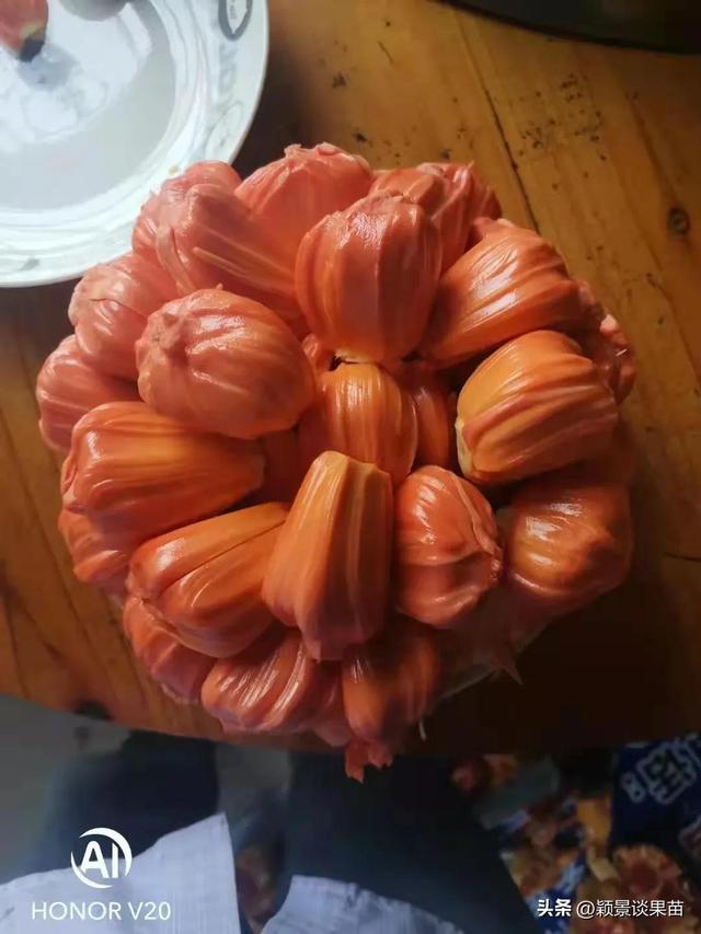 红肉菠萝蜜的前景