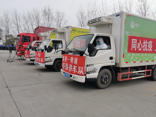 长三角一家亲，浙江嘉善捐赠16吨蔬菜送往上海青浦
