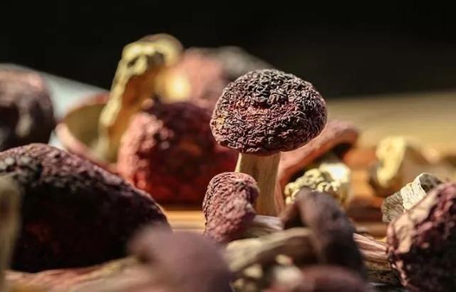 云南野生红菇，营养健康又舒服，你知道怎么吃吗？
