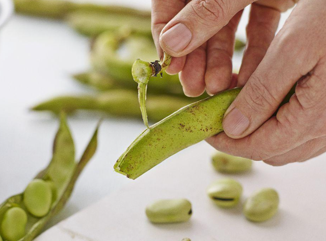 如何才能种好蚕豆？要掌握这些种植技术，会有明显的效果