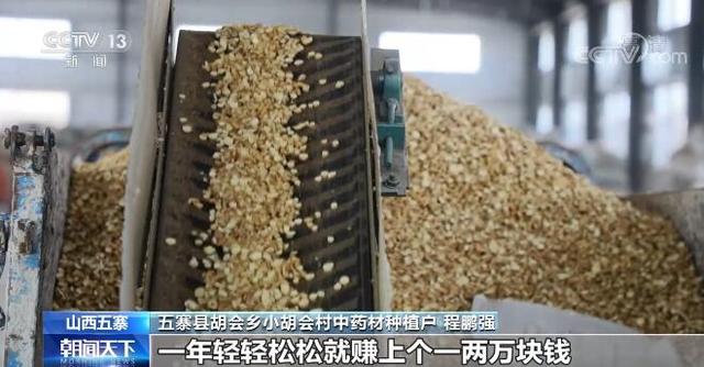 “小草药”打造增收致富“大产业”山西五寨县中药材产业效益凸显